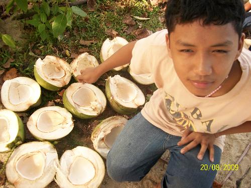 Enjoy Coconut - a feeling of being refreshed with the sweet taste of coconut meat and juice
