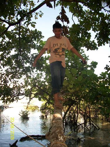 Tree Climbing - Enjoy Life... Don't be afraid to try new things