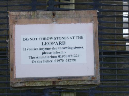 dont throw stones at the leopard - Camp site in North Wales
