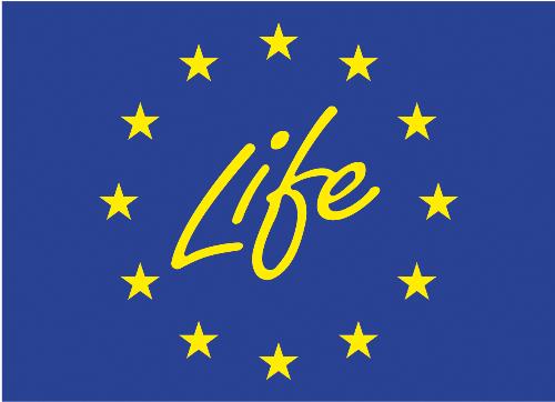 Life - Lifeeee