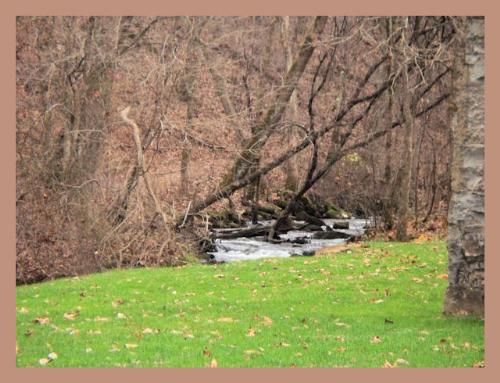 Spring Mill Park - Spring Mill Park, Mitchell, Indiana November 2009