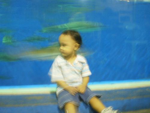 my son - behind the big aquarium