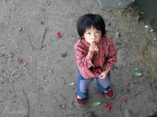 cherry - A mother's love never change