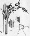 Science and Arts - this is the photo related to science and arts