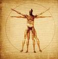 da vinci code - this is the picture related to davinci code