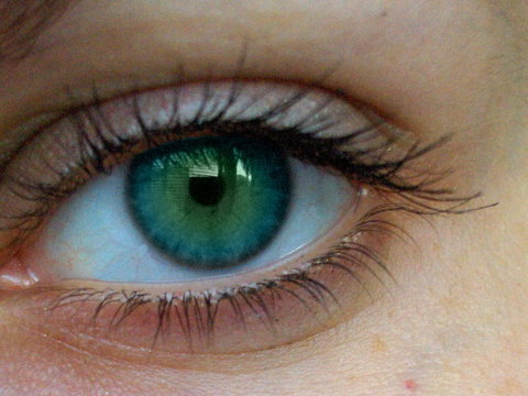 eye - a picture of an eye