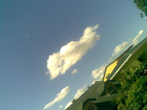 sky - What a beautiful morning.