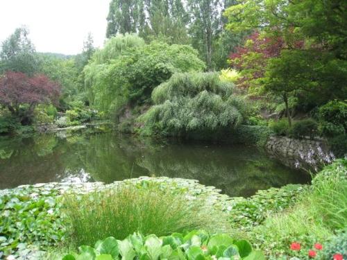 peace and quiet - nice place to just sit and relax