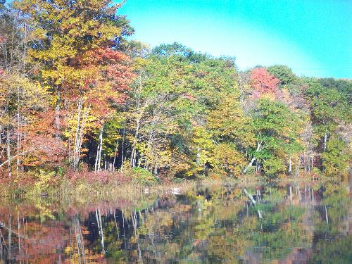 Fall color - This was taken Thanks giving weekend while I was out hiking.