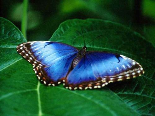 Life - Beautiful life