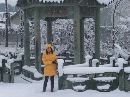 Snow - It is snowing in my hometown