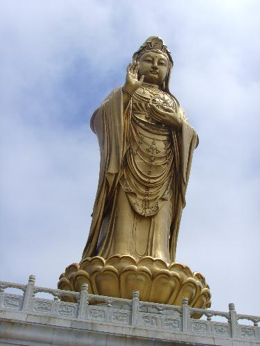 Golden Buddha - Golden Buddha in Putuo Mountain, China. It is located on an island. Many people go there every year to pray for their happiness before the Buddha.