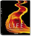 Life - this is the picture related to life