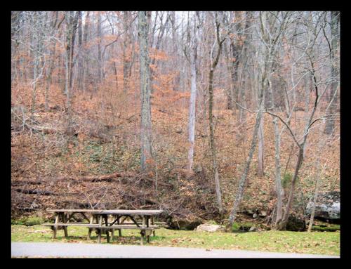 Spring Mill Park - Spring Mill Park, Mitchell, Indiana http://smalldogs2.com/FairydewArt