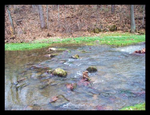Spring Mill Park - Spring Mill Park, Mitchell, Indiana http://smalldogs2.com/FairydewArt
