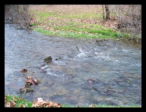 Spring Mill Park - Spring Mill Park,Mitchell, Indiana http://smalldogs2.com/FairydewArt