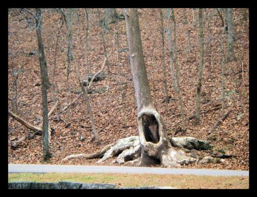 Spring Mill Park - Spring Mill Park, Mitchell, Indiana http://smalldogs2.com/FairydewArt