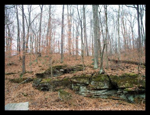 Spring Mill Park - Spring Mill Park, Mitchell, Indiana http://smalldogs2.com/FairydewArt