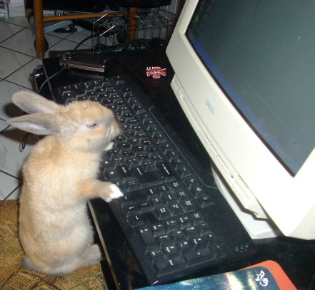 bunny - Ronny is so smart