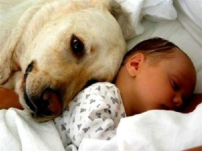 dog and baby - Aren't they cute?