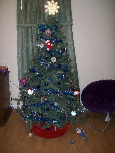 Our Christmas Tree - Our Christmas Tree we put up tonight.