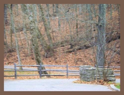 Spring Mill Park - Spring Mill Park, Mitchell, Indiana http://smalldogs2.com/FairydewArt