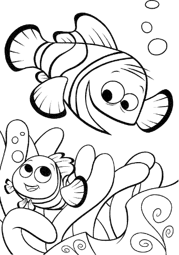 Finding Nemo - A draft of Nemo