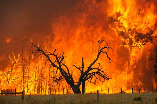 Bushfire - Bushfire raging in Victoria