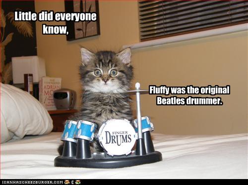 drummer kitten - this is so adorable! the kitten-sized drum sets is just right for this kitty, and i love the expression on its face!