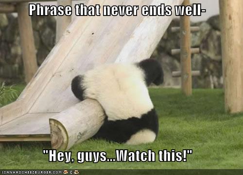 Panda Fail - Panda tries to do a trick and falls.
