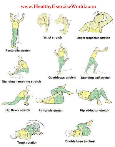 Exercise - stretch exercise