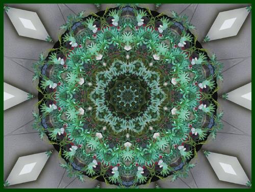 Kaleidoscope - Kaleidoscope http://smalldogs2.com/FairydewArt