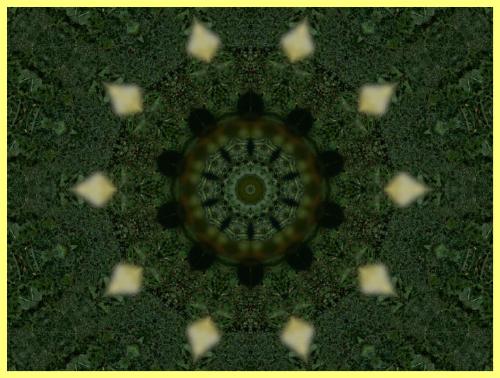 Kaleidoscope - Kaleidoscope http://smalldogs2.com/FairydewArt
