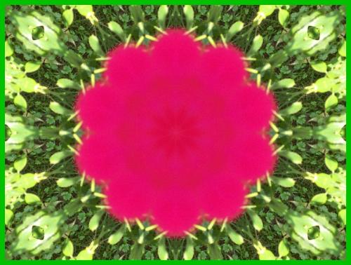 Kaleidoscope - Kaleidoscope http://smalldogs2.com/FairydewArt