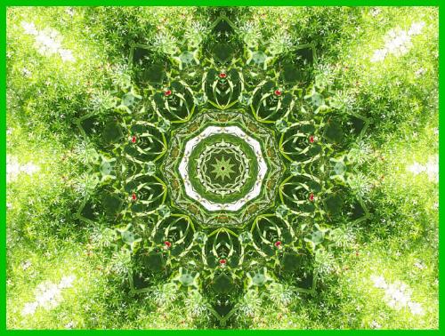 Kaleidoscope - Kaleidoscope http://smalldogs2.com/FairydewArt