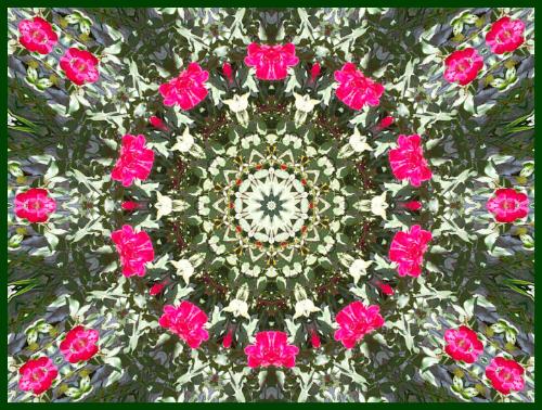 Kaleidoscope - Kaleidoscope http://smalldogs2.com/FairydewArt