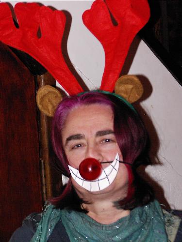 Who stole my antlers? - My new antlers in situ