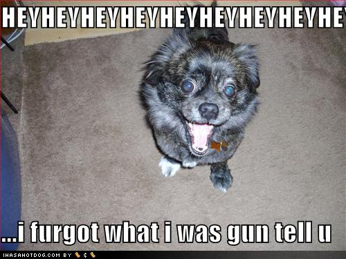 dogz - dogg