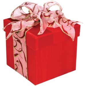 Gift Ideas? - Sample gift or anything....ideas?