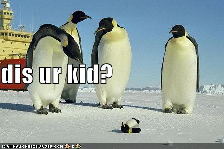 Dis ur kid? - Haha, I wonder what the penguins really thought about the stuffed animal penguin.