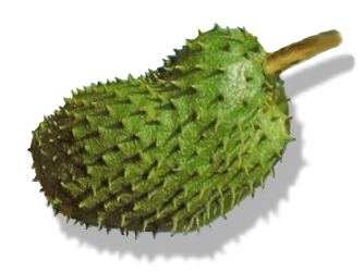 Soursop - Soursop or guyabano - Its flavor is described as a combination of strawberry and pineapple with sour citrus flavor notes contrasting with an underlying creamy flavor reminiscent of coconut or banana.