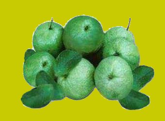 Guava - Guava fruit