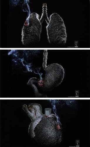 smoking - This picture tell us that how danger the smoking effect.