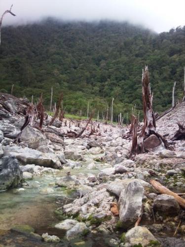 nature - the experience of having to see the effect on what sulfur has done to nature ... they say it is caused by an inactive volcano