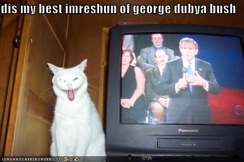 george dubya - cat and bush