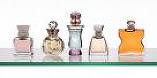 fragnance - perfume fragnance