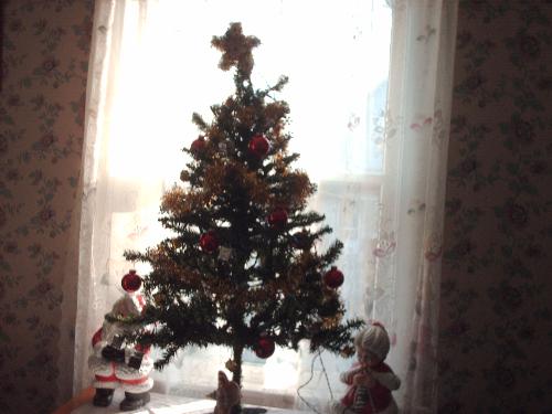 Christmas - Christmas tree