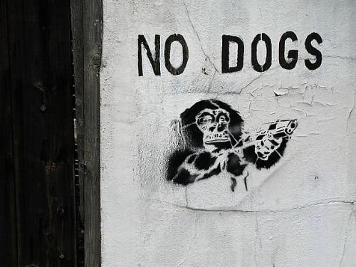 no dogs - monkey with the gun :) grafitti tag