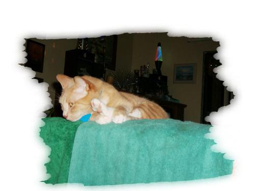 Precious - Here is a picture I did out of boardem. I took it with my digital camera and played around with it a bit with the photo-editing software that came with the camera. Its not my best work, but I think it turned out to be real cute.
