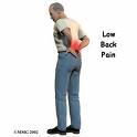 lower back pain - this is the picture related to lower back pain